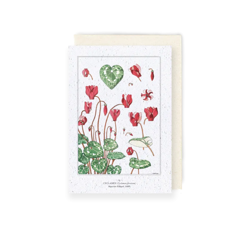 Carte à planter - Planche de Cyclamen | Papierfleur.fr, le papier qui fleurit