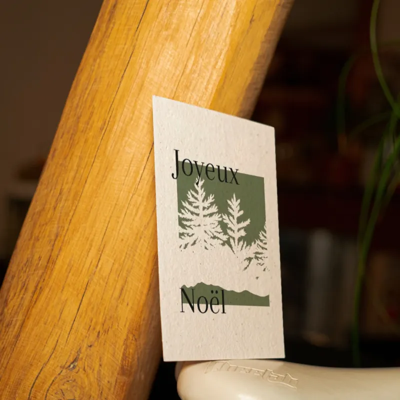 Envoyez vos plus beaux mots pour les fêtes de fin d'année sur des cartes remplies de graines de fleurs des champs.