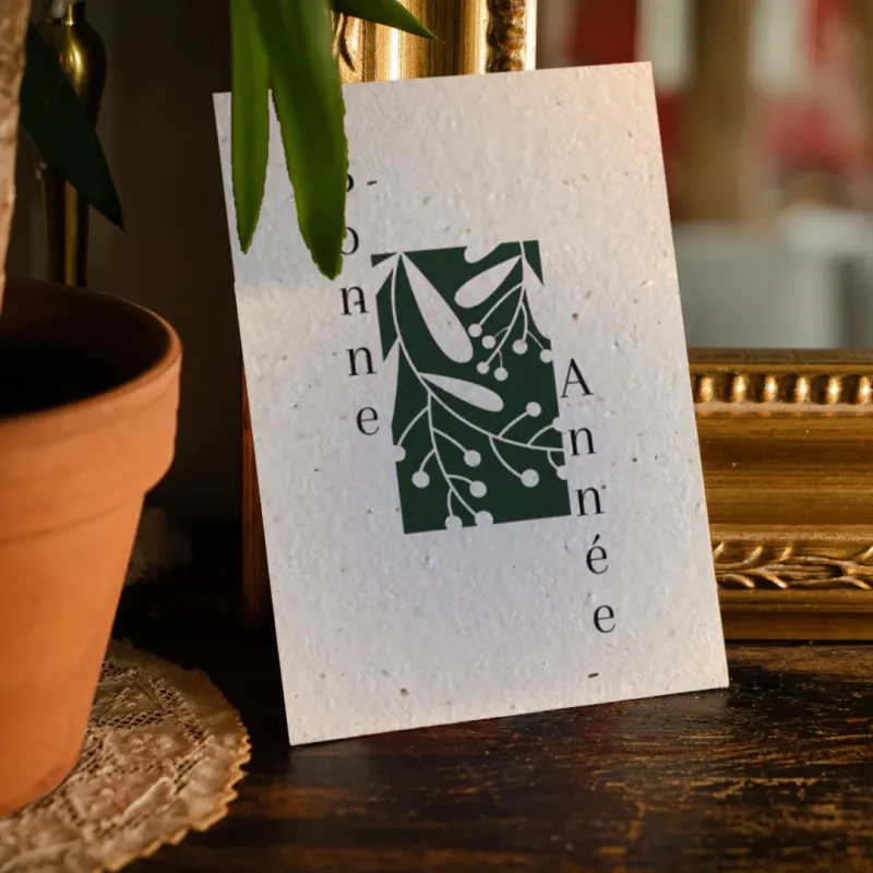 Envoyez vos plus beaux mots pour les fêtes de fin d'année sur des cartes remplies de graines de fleurs des champs.