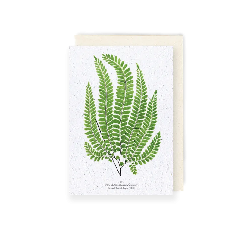 Carte à planter - Fougère (Adiantum Pubescens) | Papierfleur.fr, le papier qui fleurit