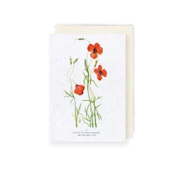 Carte à planter « Girouette »