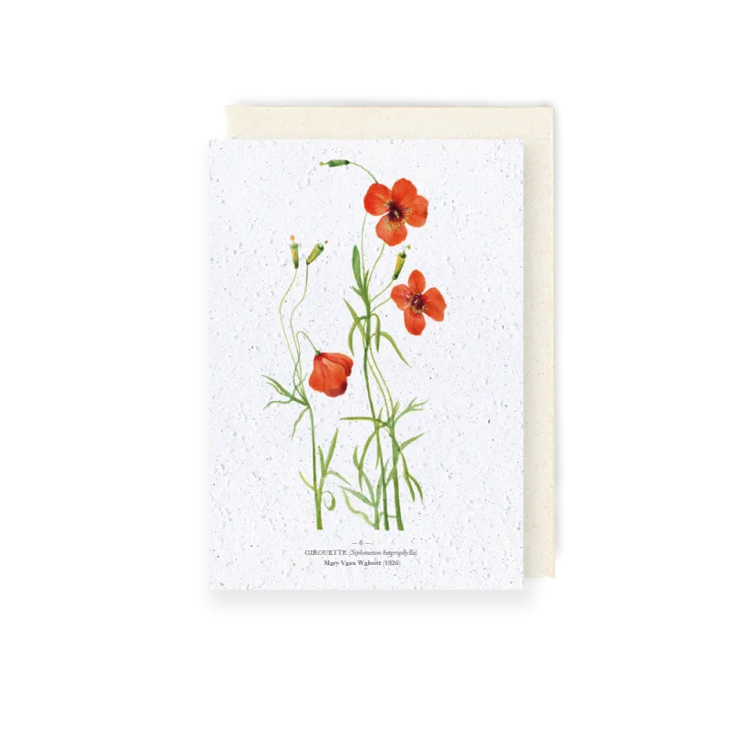 Carte à planter - Girouette | Papierfleur.fr, le papier qui fleurit