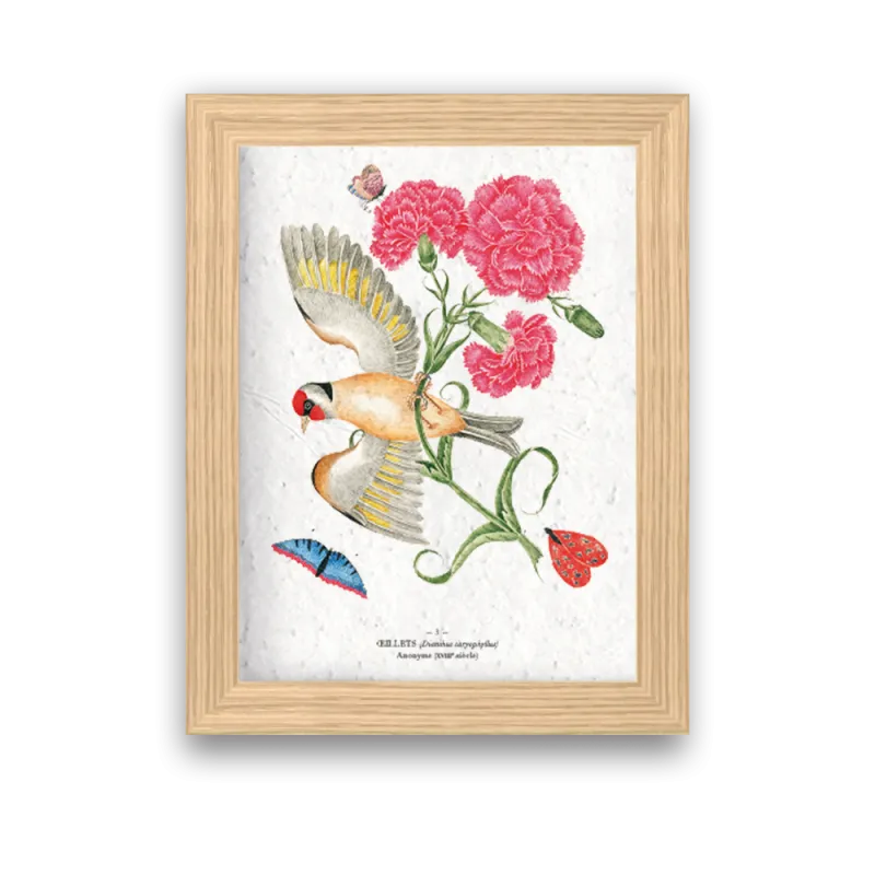 Affiche déco Œillet et oiseau à planter | Papierfleur, le papier qui fleurit