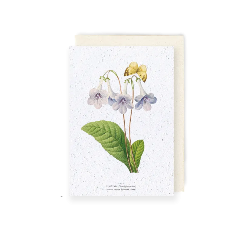 Carte à planter - Gloxina | Papierfleur.fr, le papier qui fleurit