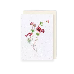 Carte à planter « Linathus »