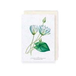 Carte à planter - Lotus bleu d'Egypte | Papierfleur.fr, le papier qui fleurit