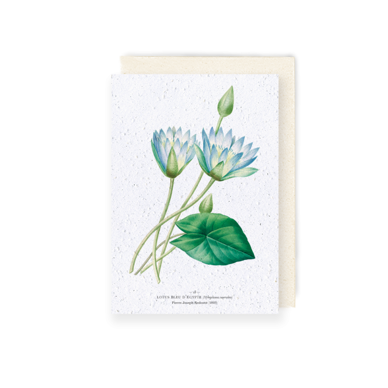 Carte à planter - Lotus bleu d'Egypte | Papierfleur.fr, le papier qui fleurit