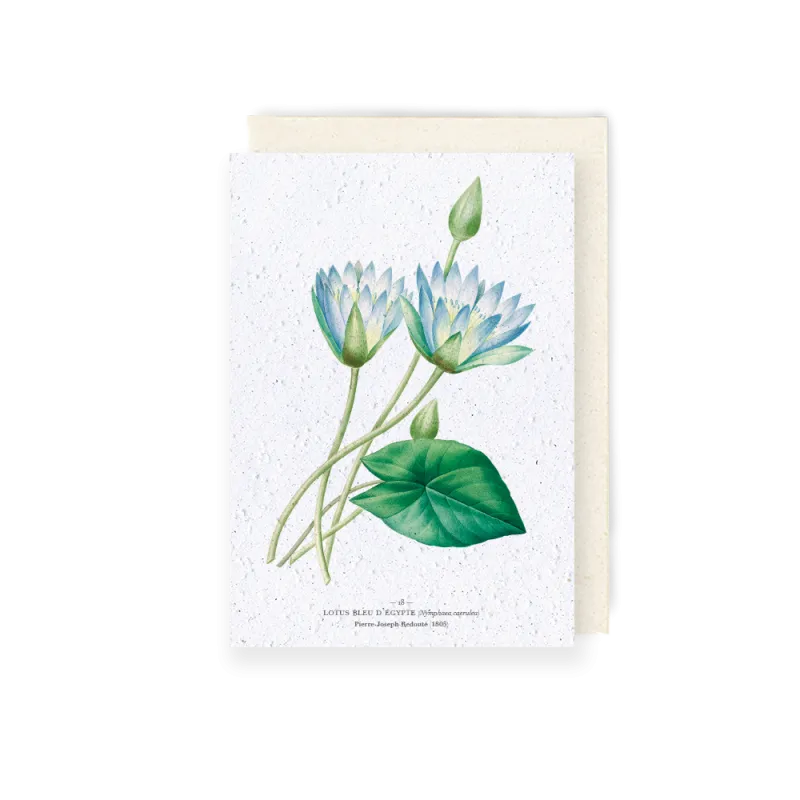 Carte à planter - Lotus bleu d'Egypte | Papierfleur.fr, le papier qui fleurit