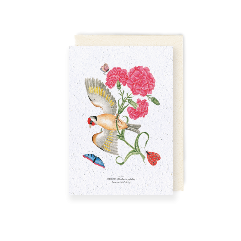 Carte à planter - Œillet et oiseau | Papierfleur.fr, le papier qui fleurit