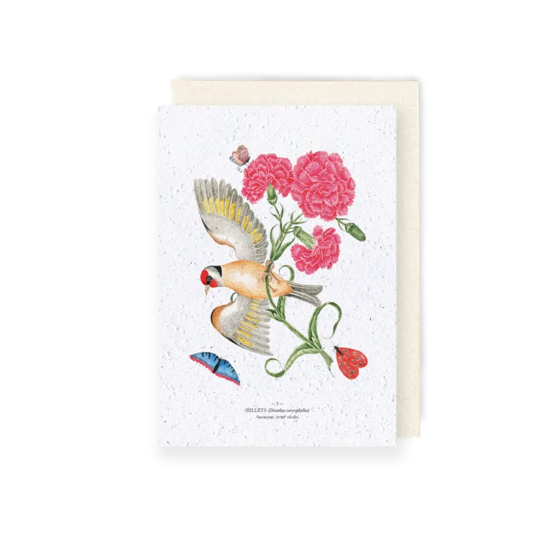 Carte à planter - Œillet et oiseau | Papierfleur.fr, le papier qui fleurit