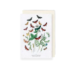 Carte à planter - Papillons et chenilles | Papierfleur.fr, le papier qui fleurit