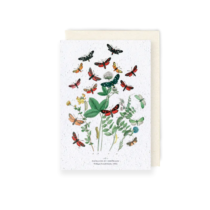 Carte à planter - Papillons et chenilles | Papierfleur.fr, le papier qui fleurit
