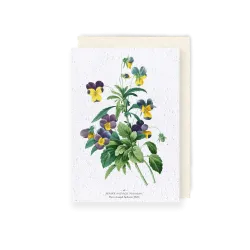 Carte à planter - Pensée sauvage | Papierfleur.fr, le papier qui fleurit
