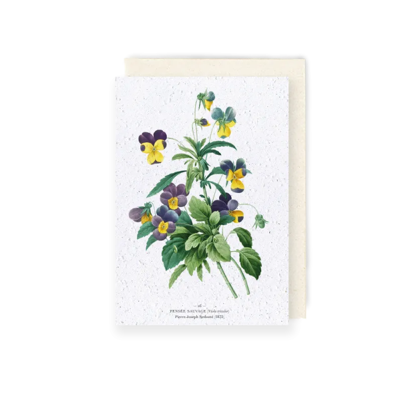 Carte à planter - Pensée sauvage | Papierfleur.fr, le papier qui fleurit