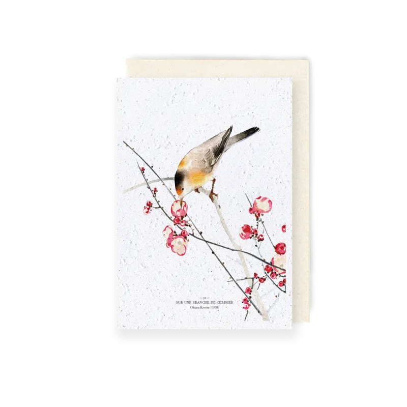 Carte à planter - Sur une branche de cerisier | Papierfleur.fr, le papier qui fleurit