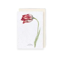 Carte à planter « Tulipe »