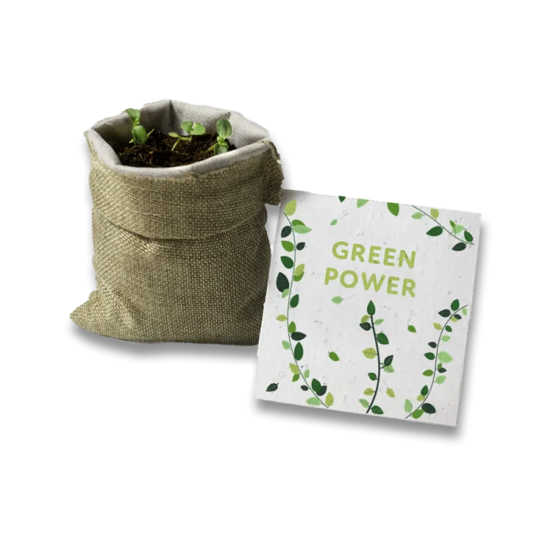 Kit à planter -Green Power | Papierfleur.fr, le papier qui fleurit