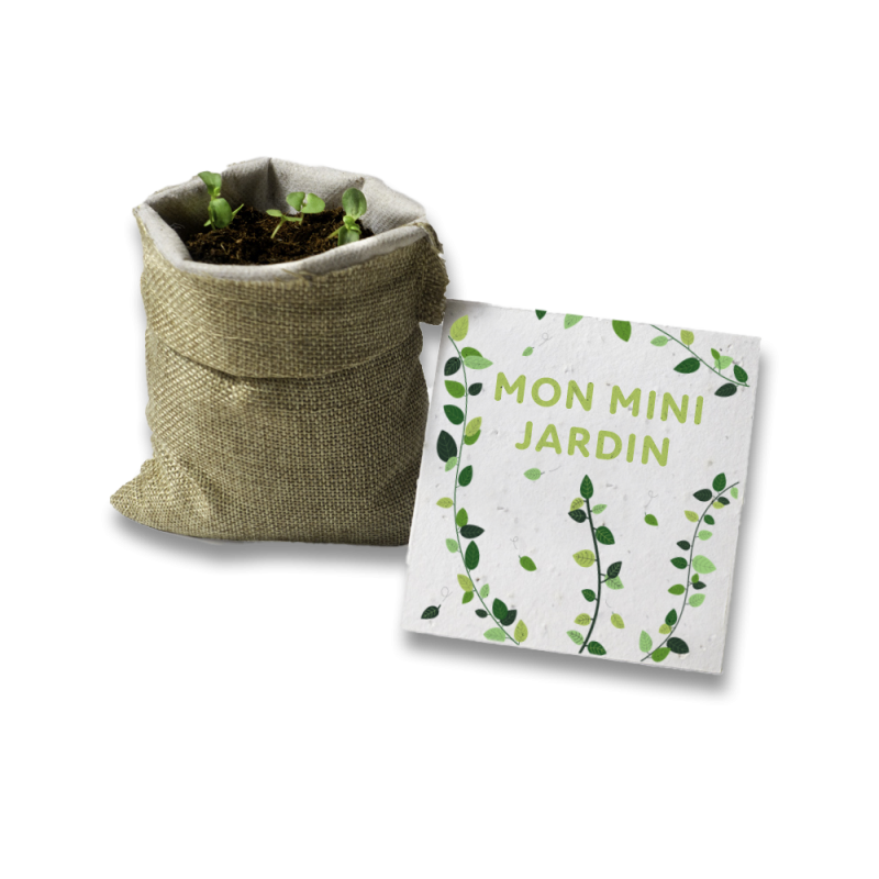 Kit à planter - Mon mini jardin | Papierfleur.fr, le papier qui fleurit