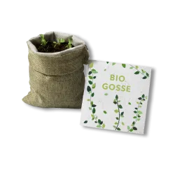 Kit à planter - Bio Gosse | Papierfleur.fr, le papier qui fleurit