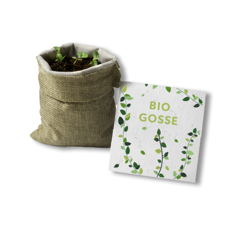 Kit à planter - Bio Gosse | Papierfleur.fr, le papier qui fleurit