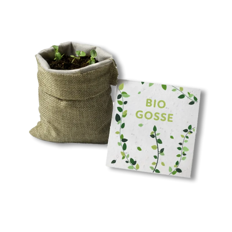 Kit à planter - Bio Gosse | Papierfleur.fr, le papier qui fleurit