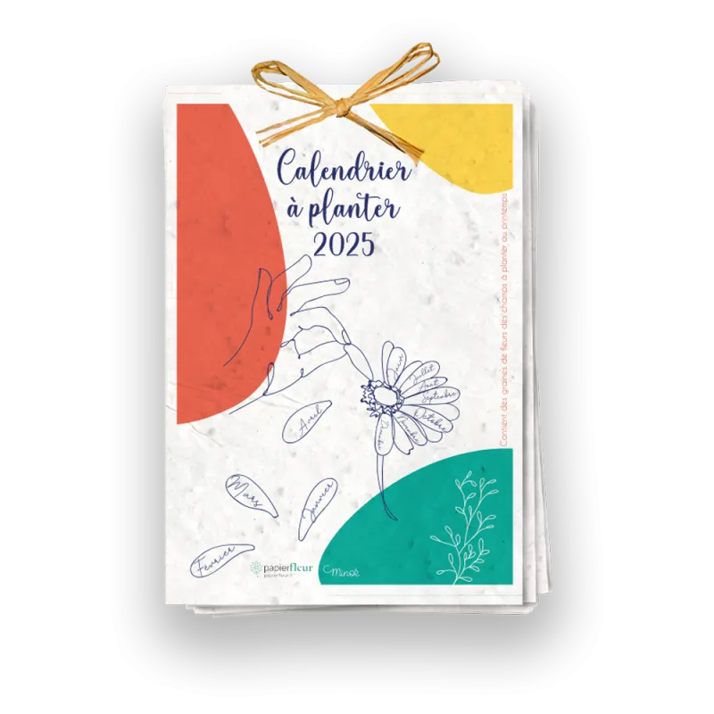 Calendrier à planter 2025 | Mains et fleurs