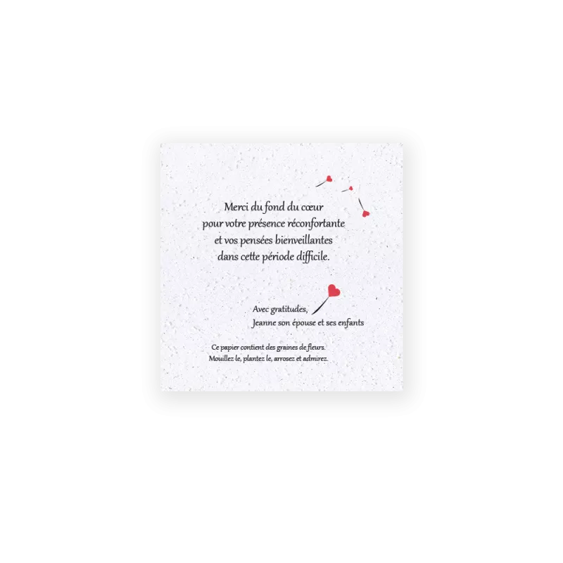Carte à planter, Remerciement décès « Pissenlit » | Papierfleur.fr, le papier qui fleurit