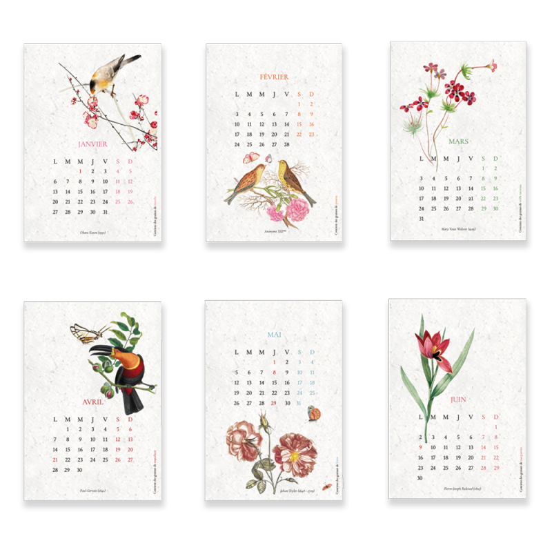 Calendrier à planter Biodiversité | Calendrier 2025 Papierfleur