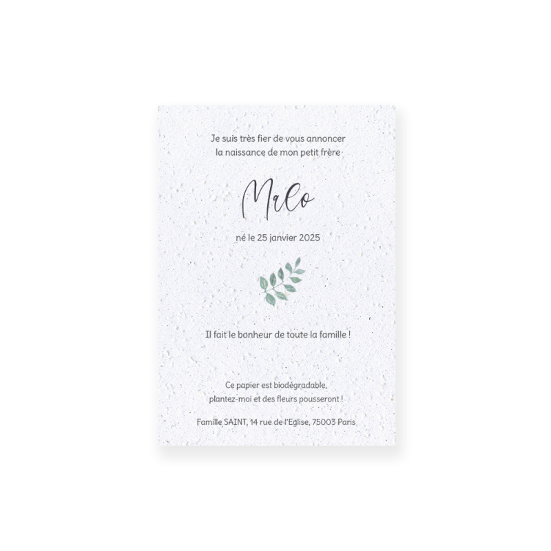 Faire-part de naissance "Jeune pousse" | Papierfleur, le papier qui fleurit