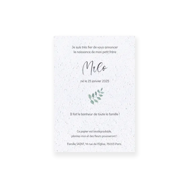 Faire-part de naissance "Jeune pousse" | Papierfleur, le papier qui fleurit