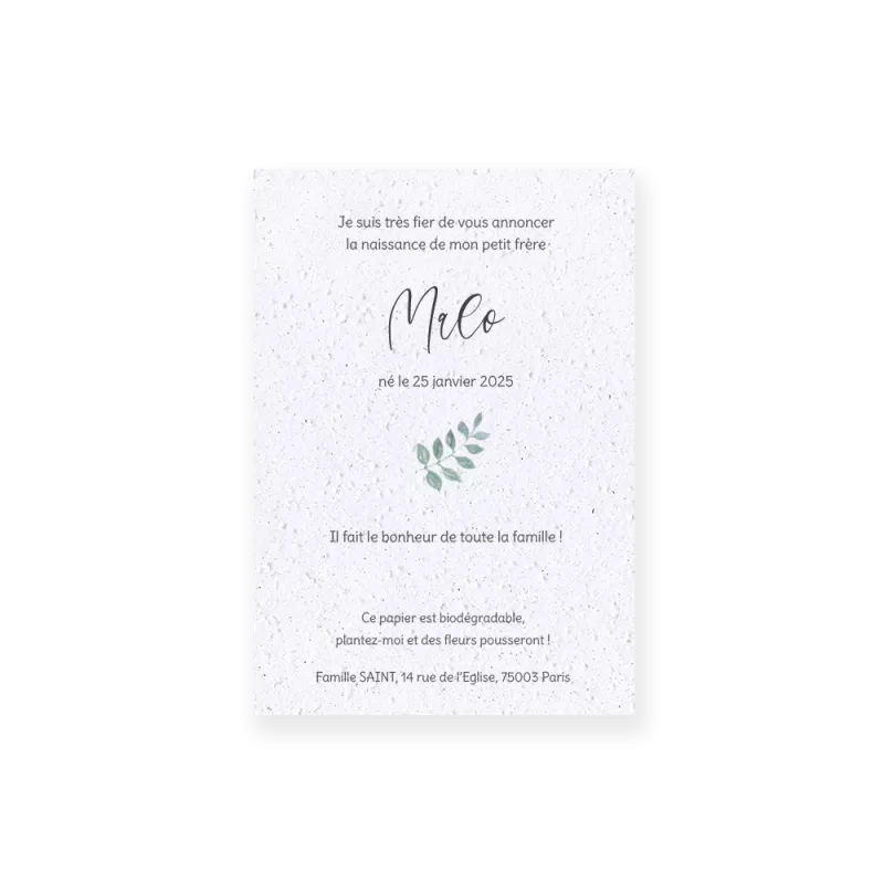Faire-part de naissance « Jeune pousse » | Papierfleur, le papier qui fleurit