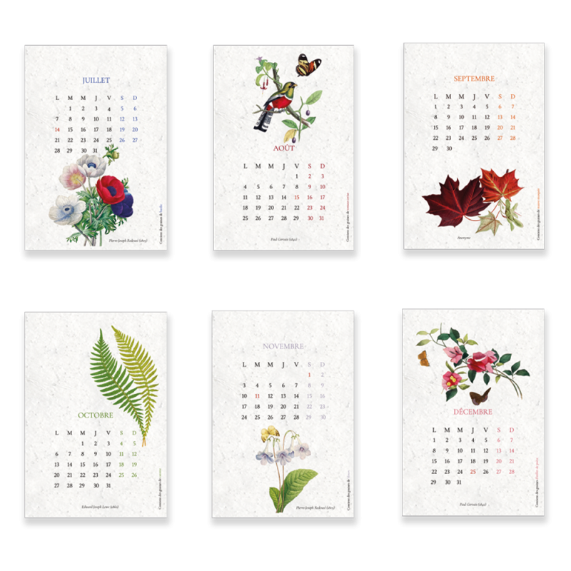 Calendrier à planter Biodiversité | Calendrier 2025 Papierfleur