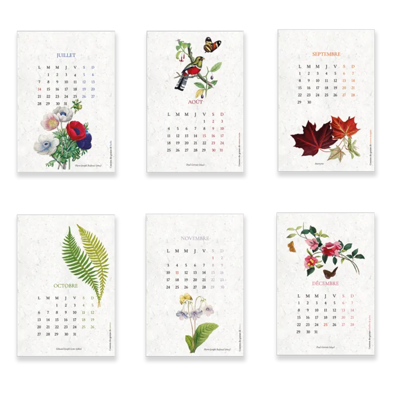 Calendrier à planter Biodiversité | Calendrier 2025 Papierfleur