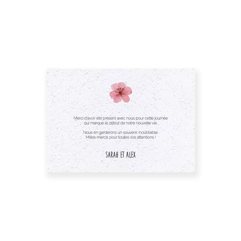 Carte remerciement à planter « Champs de fleurs » | Papierfleur.fr, le papier qui fleurit