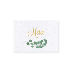 Carte remerciement « Eucalyptus »