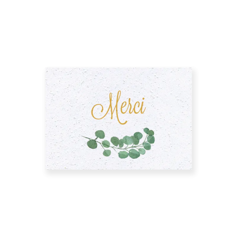 Carte remerciement « Eucalyptus »  | Papierfleur.fr, le papier qui fleurit
