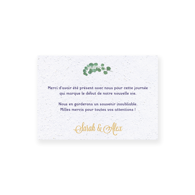Carte remerciement « Eucalyptus »  | Papierfleur.fr, le papier qui fleurit