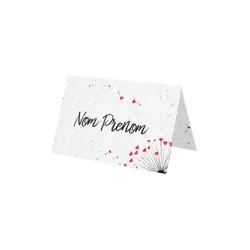 Marque place ensemencé « Pissenlit »