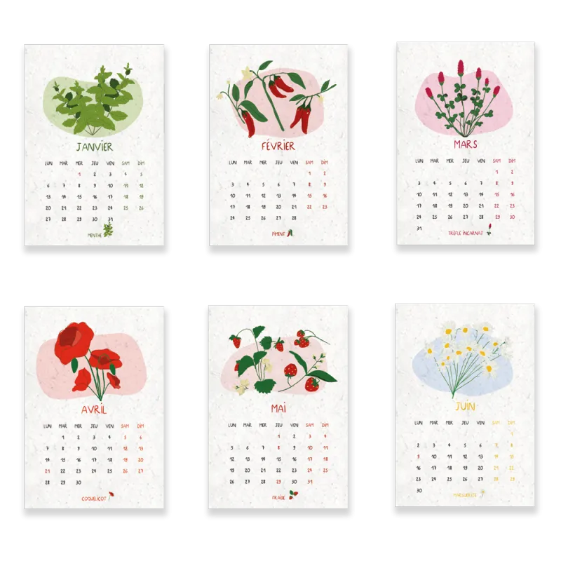 Calendrier à planter 2025, Jardin du temps