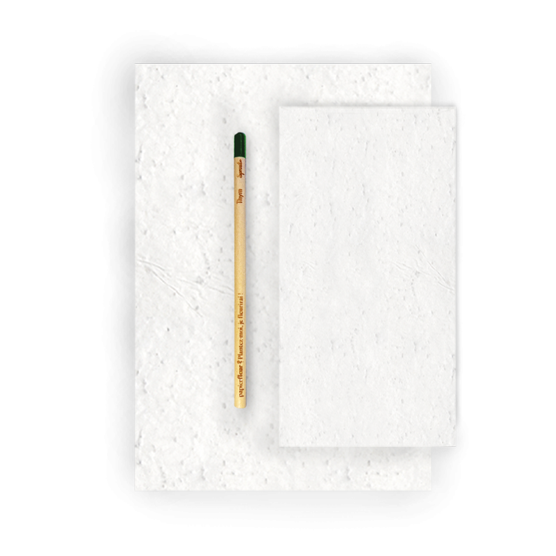 Set de correspondance ensemencée - Feuilles | Papierfleur.fr, le papier qui fleurit