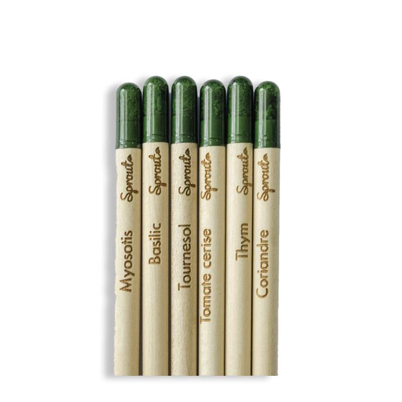 Pack de crayons à planter | Papierfleur, Le papier qui fleurit