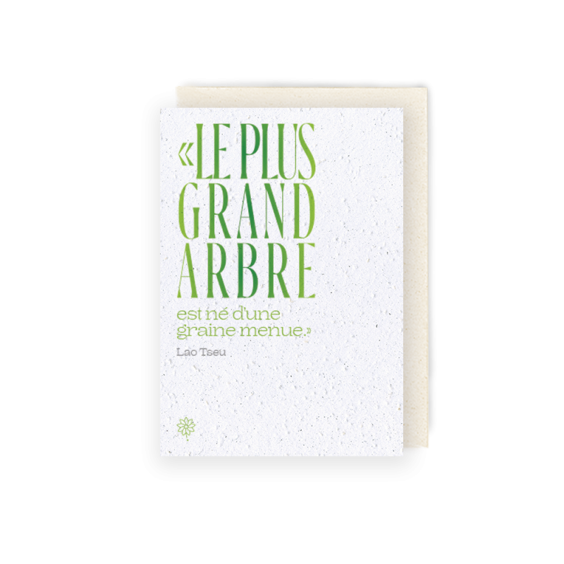 Carte à planter - Lao Tseu et le grand arbre | Papierfleur.fr, le papier qui fleurit