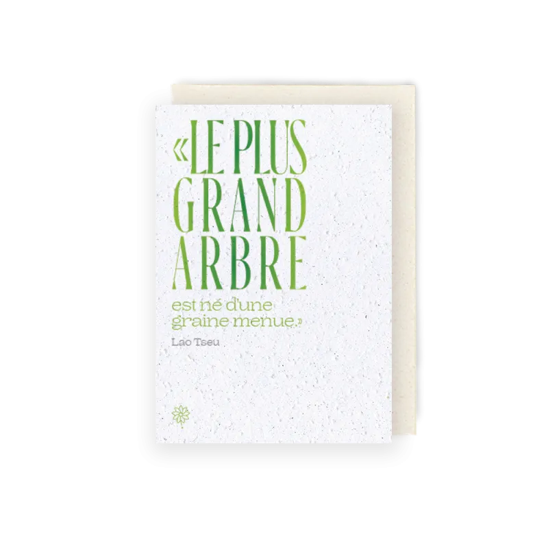 Carte à planter - Lao Tseu et le grand arbre | Papierfleur.fr, le papier qui fleurit