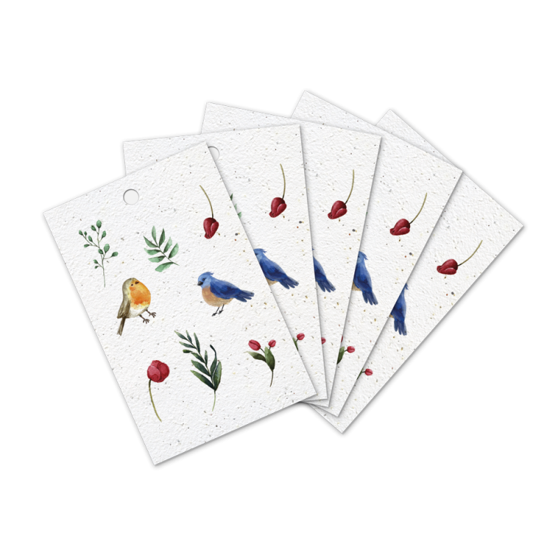 Lot de 5 étiquettes cadeau à planter | Papierfleur.fr, le papier qui fleurit