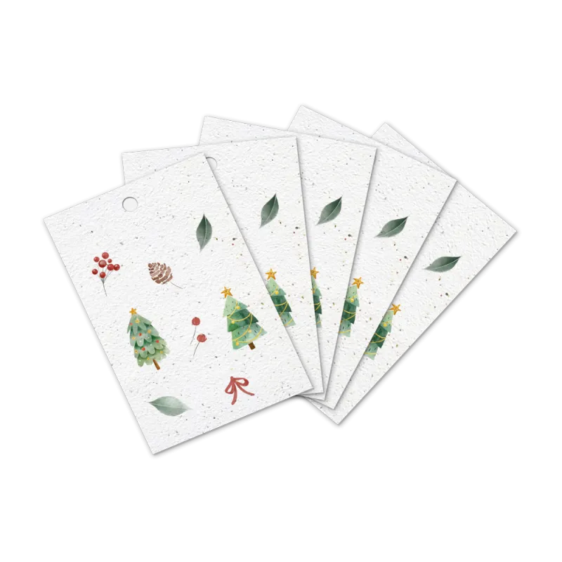 Lot de 5 étiquettes cadeau à planter | Papierfleur.fr, le papier qui fleurit