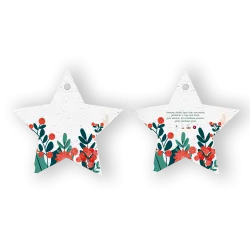 Etoiles de Noël à planter