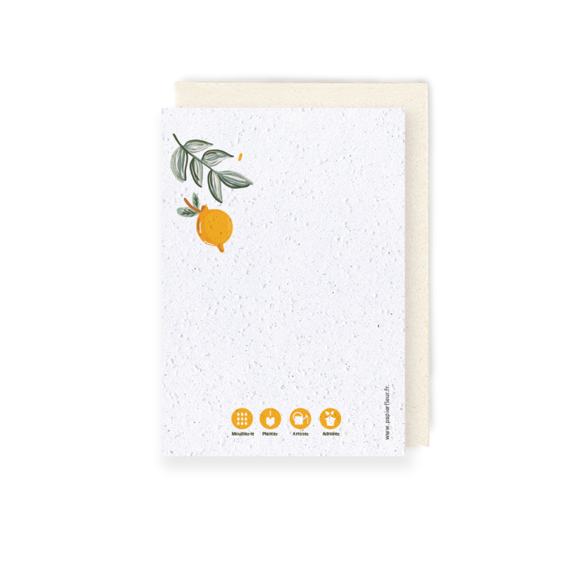 Carte anniversaire à planter - Fruity Birthday | Papierfleur.fr, le papier qui fleurit