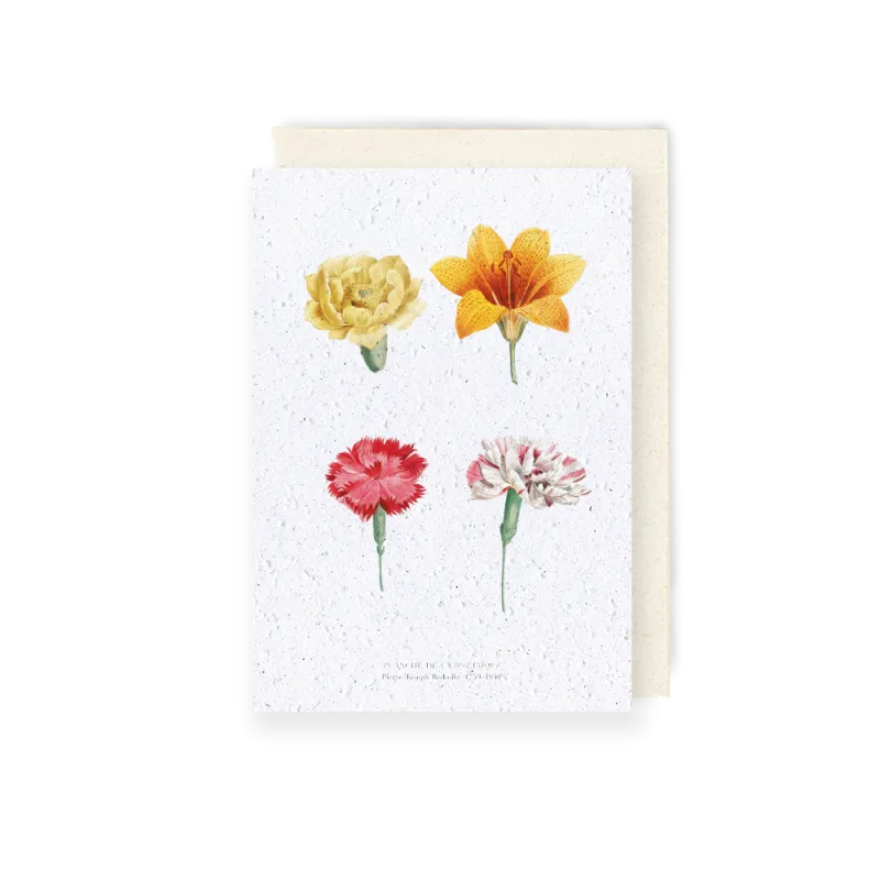 Carte à planter - Planche botanique | Papierfleur.fr, le papier qui fleurit