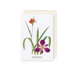 Carte à planter - Iris | Papierfleur.fr, le papier qui fleurit