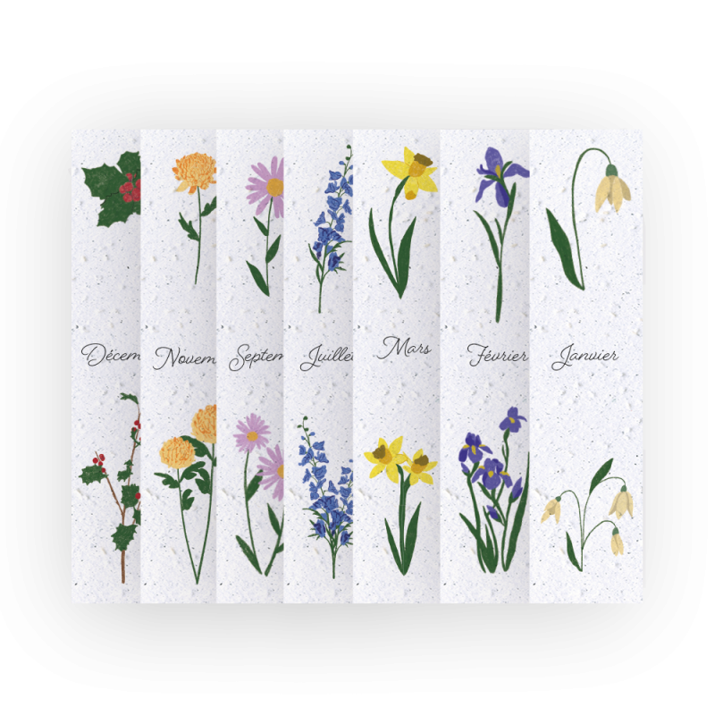 12 Marque-pages à planter - Fleurs de naissance | Papierfleur.fr, le papier qui fleurit